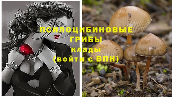 MDMA Киренск