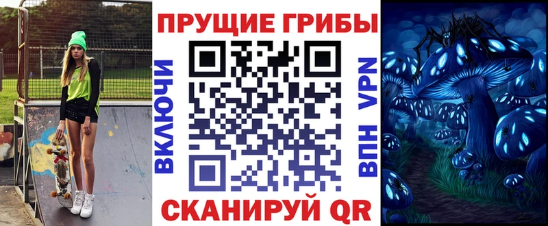 Купить закладки  Зеленоградск  Галлюциногенные грибы мицелий 